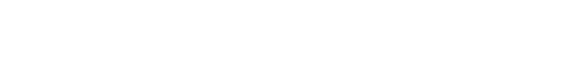 finns logo white